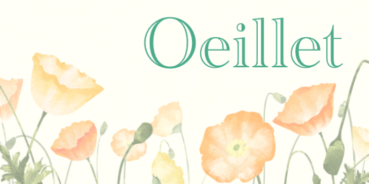 Oeillet